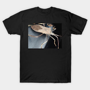 A leaf-footed bug from Texas, USA identified as Acanthocephala terminalis T-Shirt